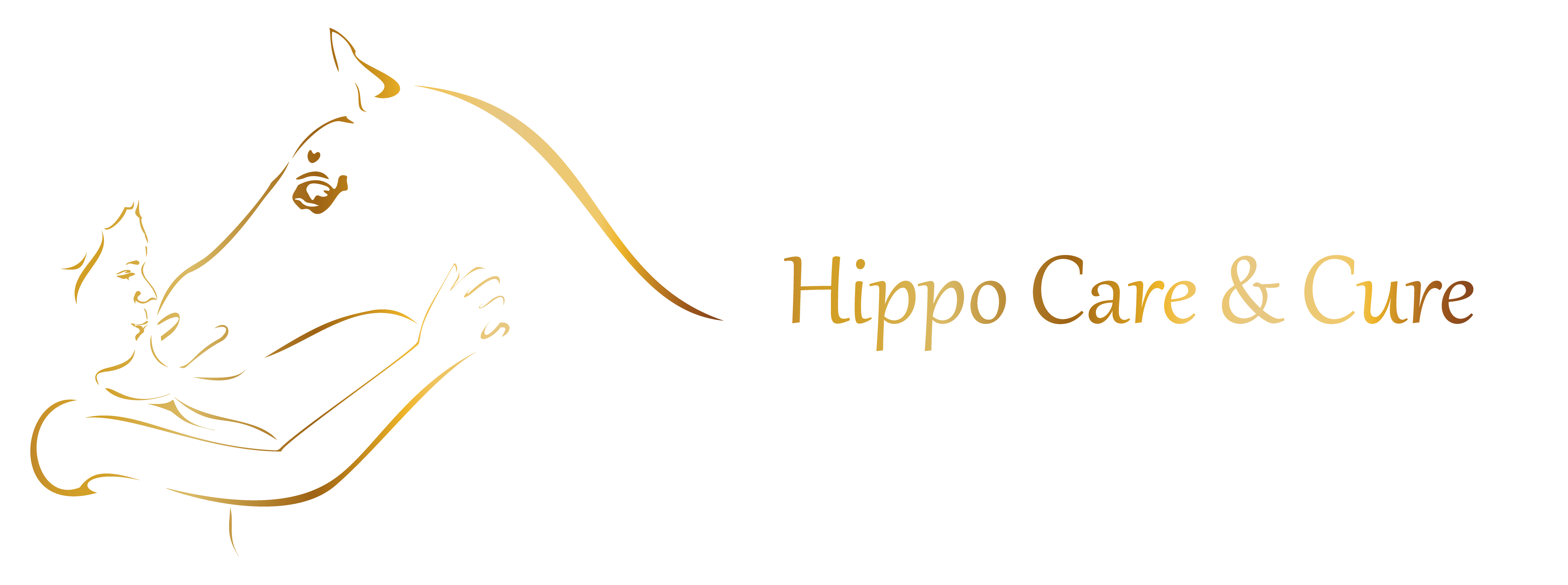 Hippo Care & Cure | Trainings- en revalidatiecentrum